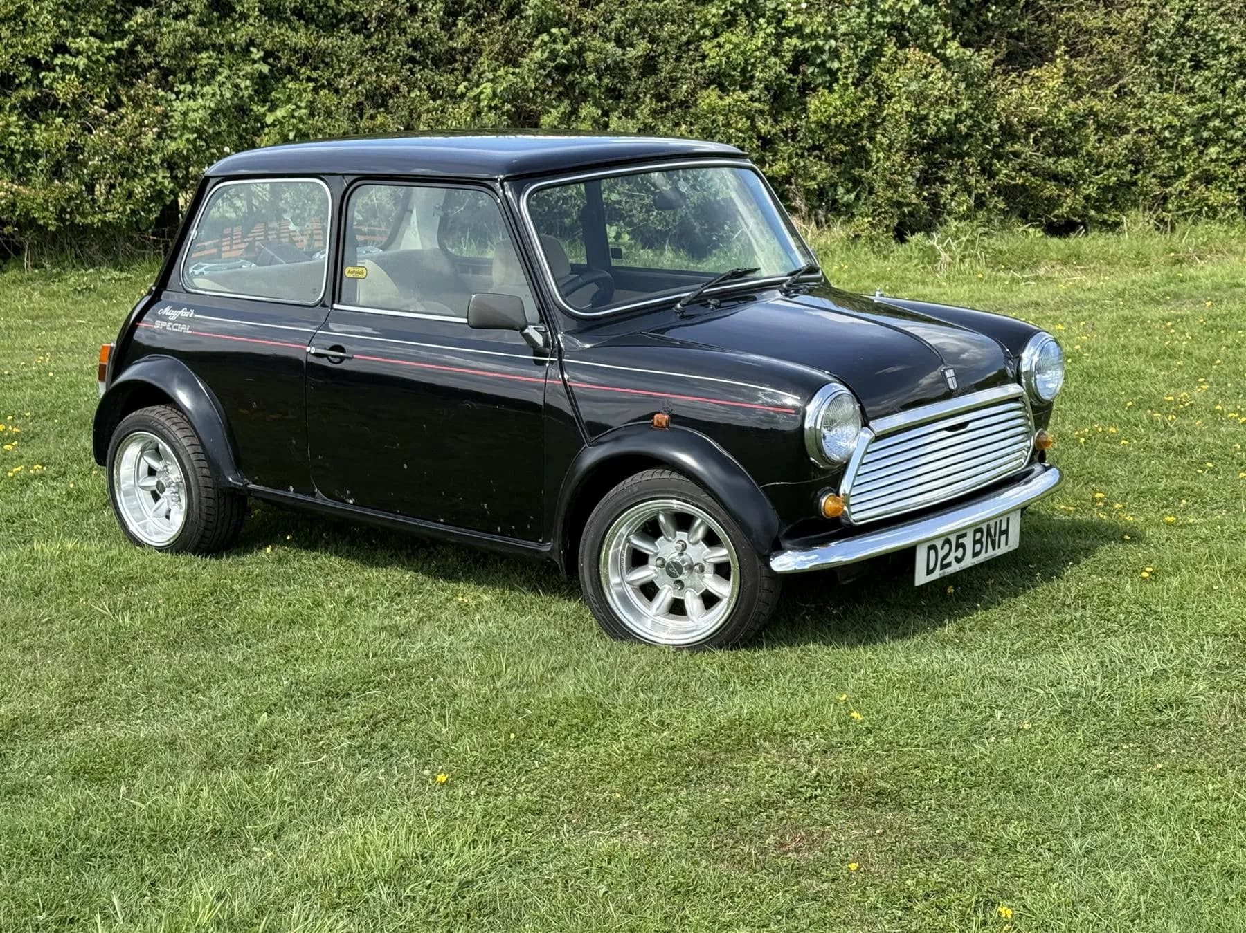 1987 Mini Classic All Models listing image