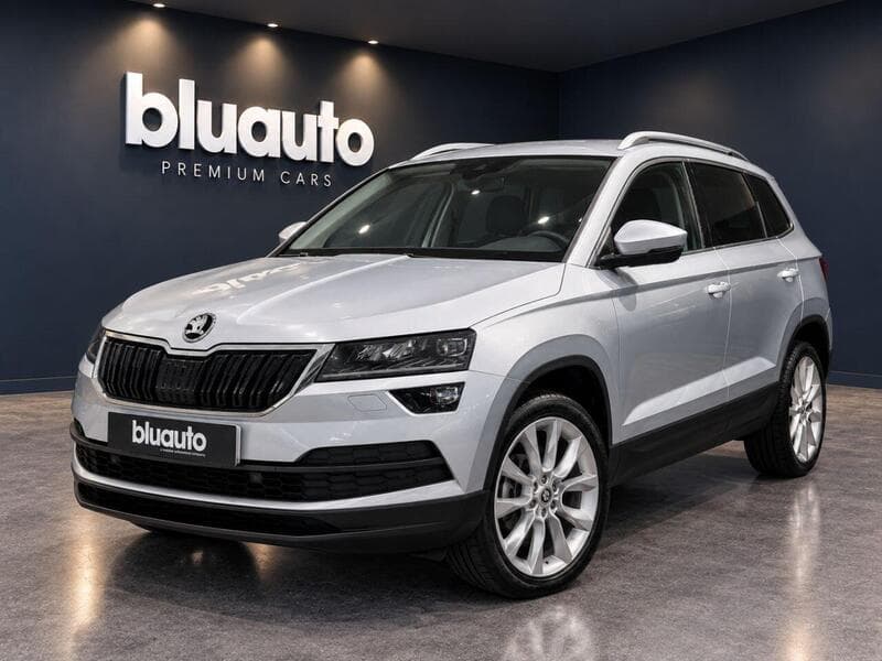 2019 Skoda Karoq Edition listing image