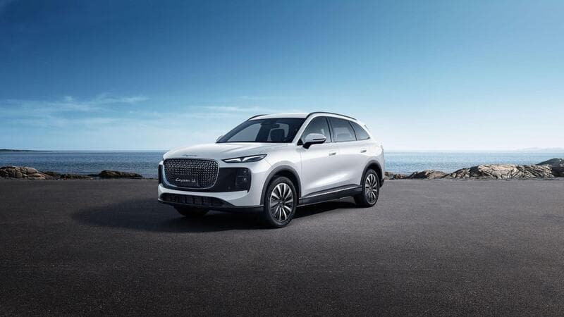 Lepas L8 Elevate listing image